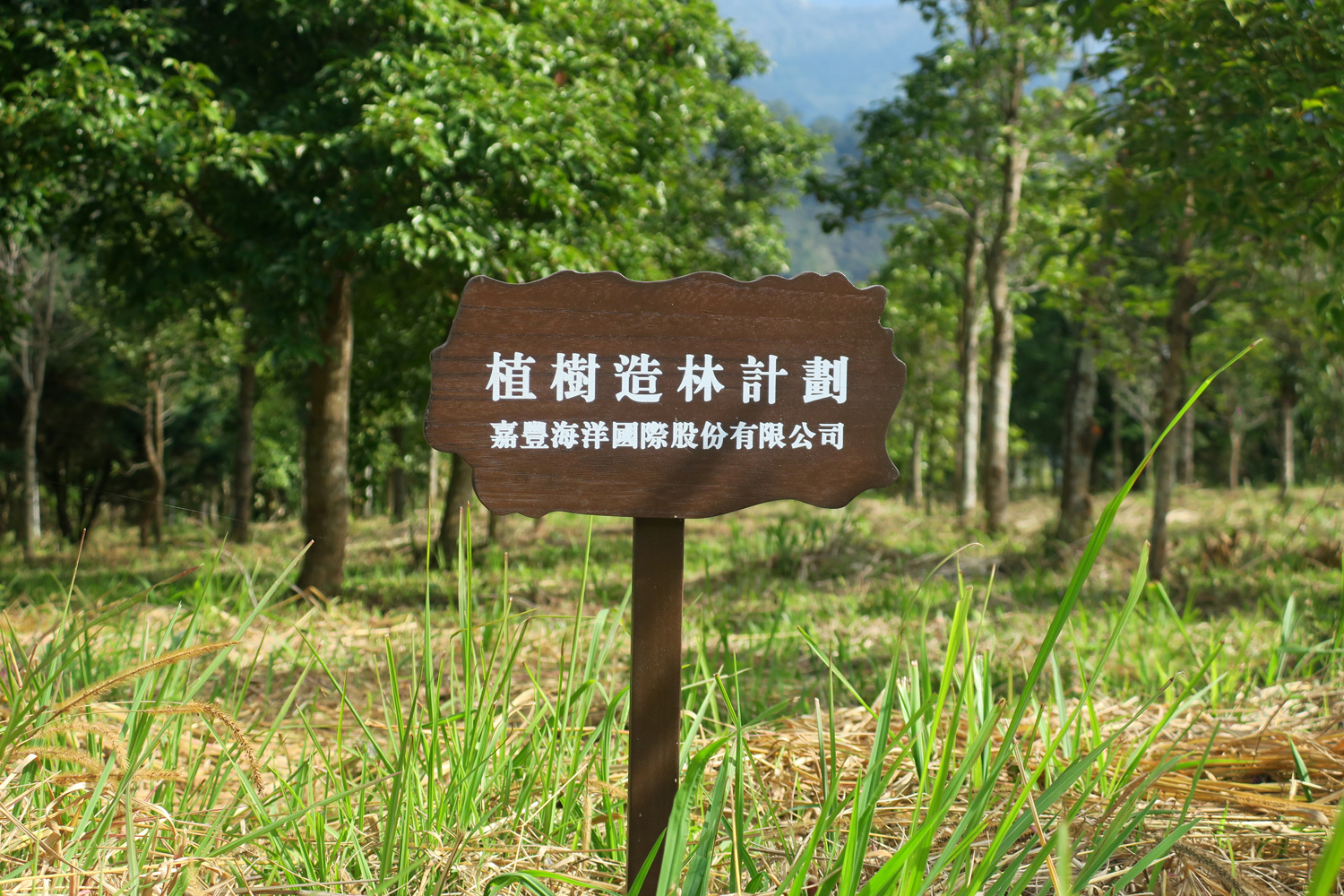 嘉豐海洋國際-社會責任 | 嘉豐海洋國際 海洋植樹造林計劃