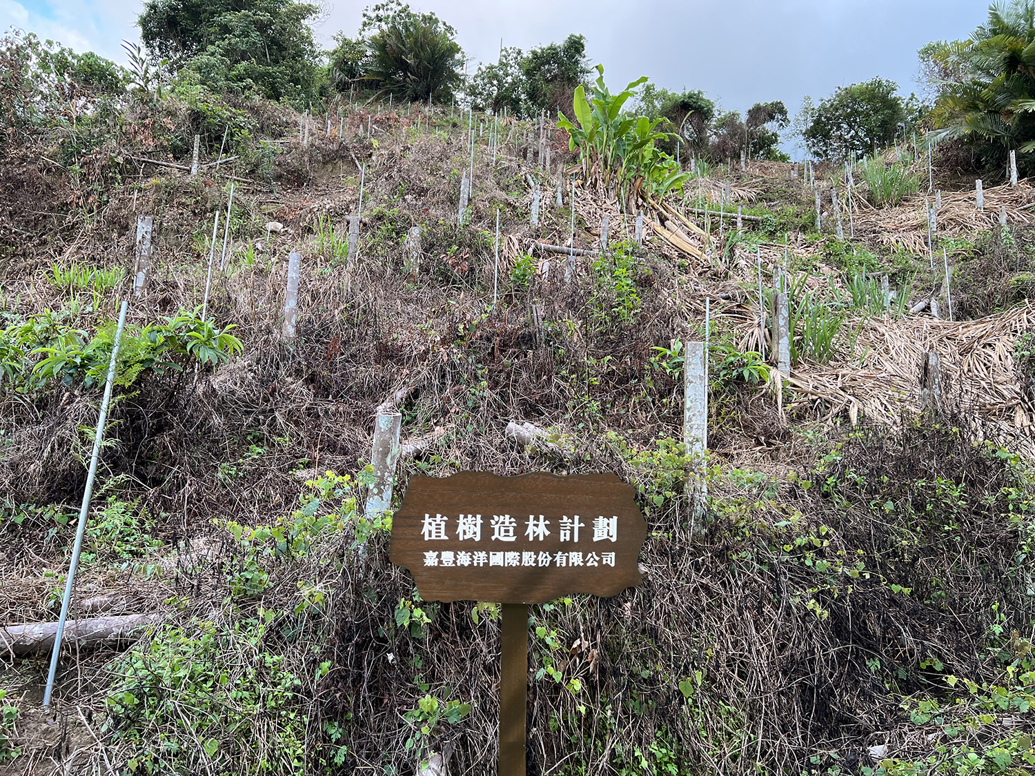 嘉豐海洋國際-社會責任 | 嘉豐海洋國際 海洋植樹造林計劃 位於 嘉義縣中埔鄉