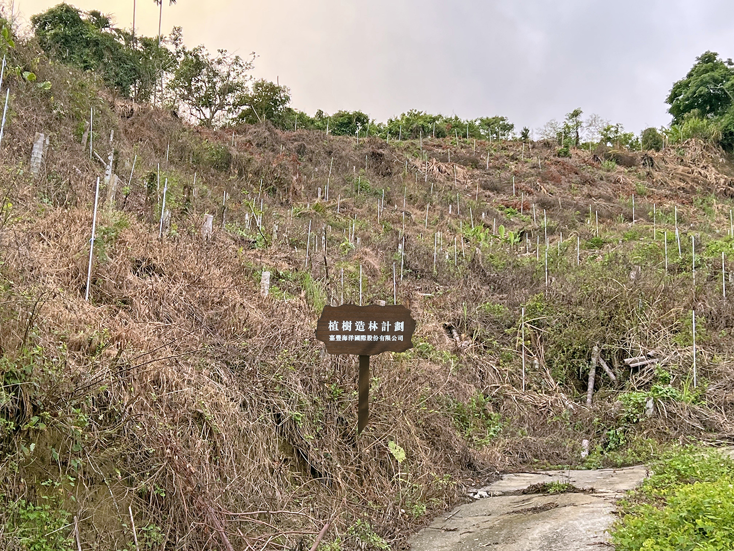 嘉豐海洋國際-社會責任 | 嘉豐海洋國際 海洋植樹造林計劃 位於 嘉義縣中埔鄉